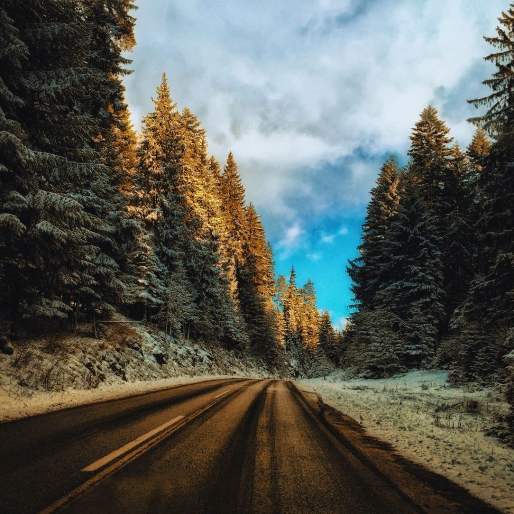 a winding road through snow woodlands